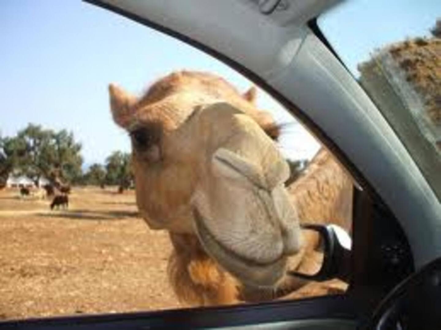 マルティナ・フランカ Trullo Il Corbezzoloヴィラ エクステリア 写真