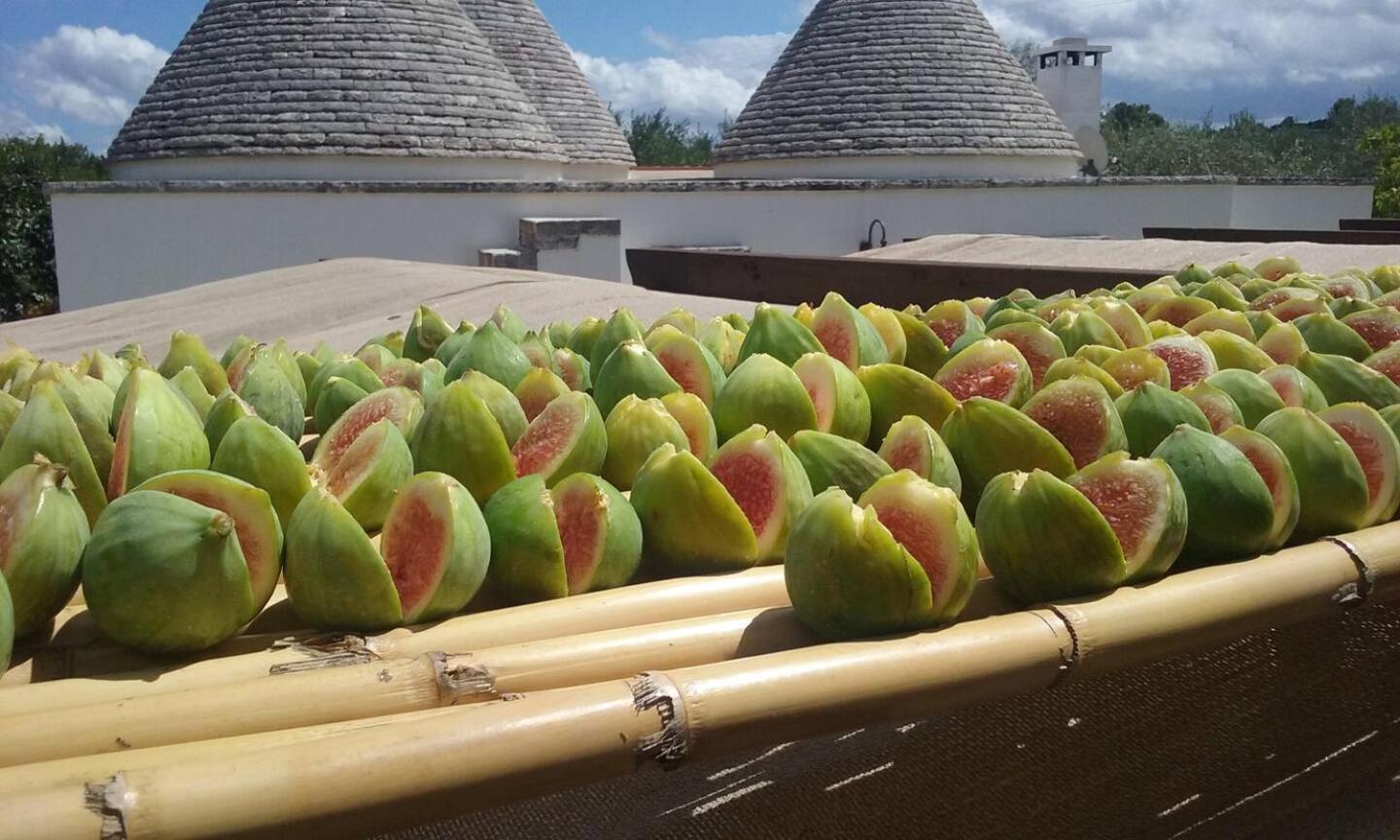 マルティナ・フランカ Trullo Il Corbezzoloヴィラ エクステリア 写真
